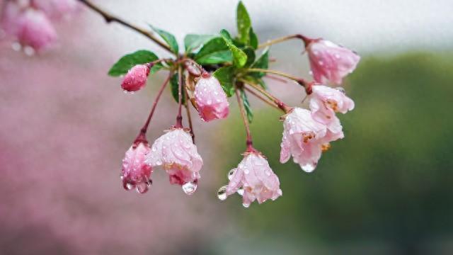 20句治愈人生感悟：慢慢走，别慌张，生活自有温柔回响