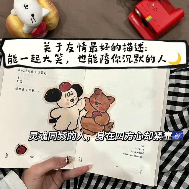 关于友情:能一起大笑，也能陪你沉默的人