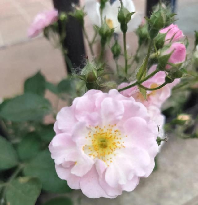 到底如何维护朋友之间的友情？