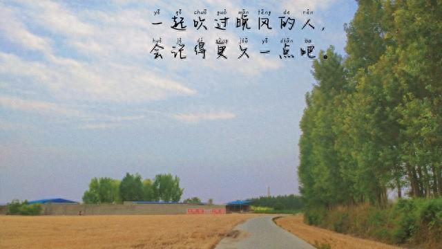 友情，岁月里的温柔相伴