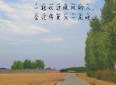 友情，岁月里的温柔相伴