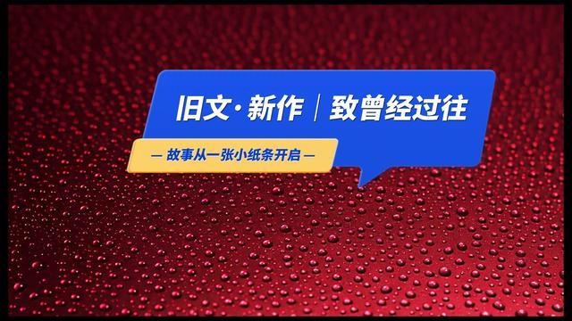 致文文系列散文（3）「伤感·日记」