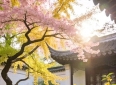 13句富有哲理的正能量句子，句句充满智慧，句句经典走心
