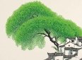 30句民间谚语金句，句句人生哲理，值得我们收藏需要时可以做文案