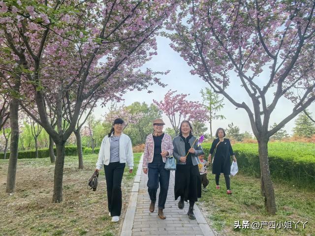 一日樱花树下悠闲野炊，一生闺蜜姐妹情深意长，闺蜜聚会日记之三