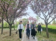 一日樱花树下悠闲野炊，一生闺蜜姐妹情深意长，闺蜜聚会日记之三