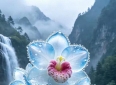 幽默励志小故事分享