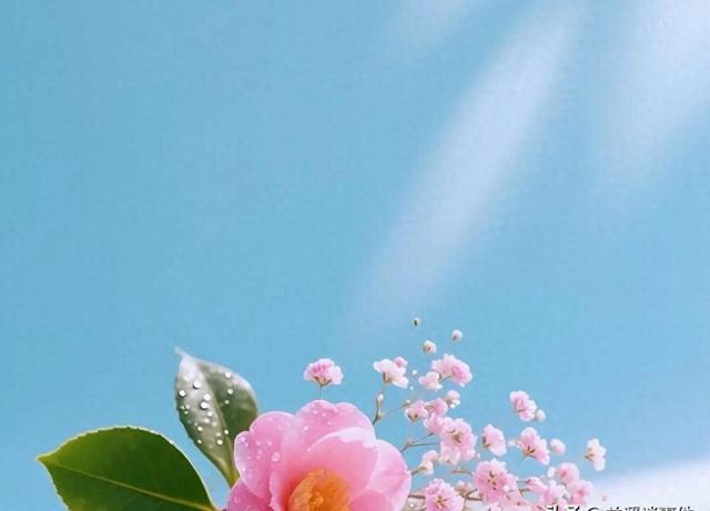 成年人还能拥有“纯友谊”吗？为什么异性友情成了人生的稀缺品