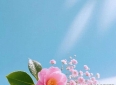 成年人还能拥有“纯友谊”吗？为什么异性友情成了人生的稀缺品