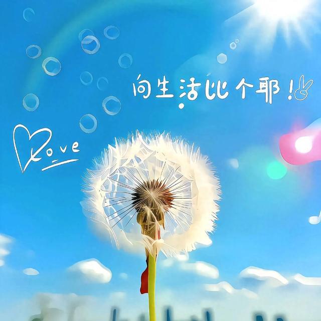 心情日记-随笔