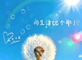 心情日记-随笔