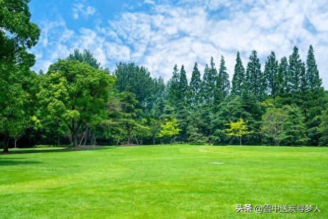 真实情感自述，35岁未婚处女女主林悦愿意嫁给60岁大学教授