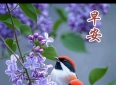 友情越处越淡？这10条相处禁忌要记牢，最后一天最关键