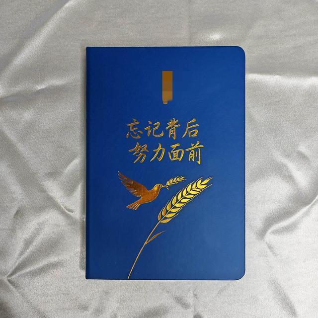 《我开始写‘遗忘日记’：记下今天忘记的事，也记下今天爱的人》