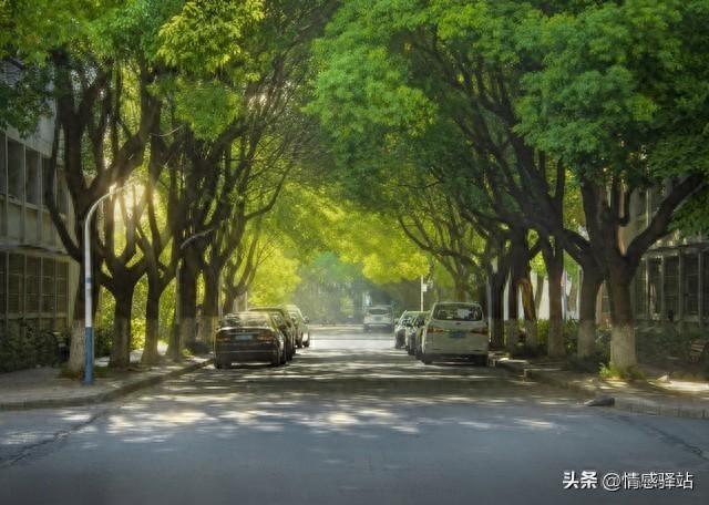 异性纯友谊？五个女人大实话，三观炸裂