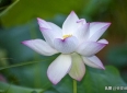 缘起性空——人生哲理感悟