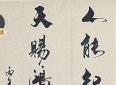 人生哲理小贴士