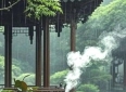 哲理散文：人生如茶，浮沉皆从容