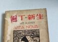 爱与诗的青春告白