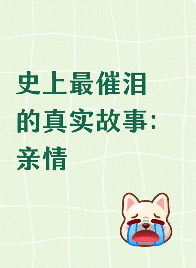 史上最催泪的真实故事：亲情