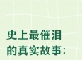 史上最催泪的真实故事：亲情
