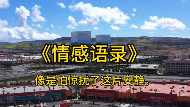 《情感语录》，让心灵在此刻共鸣