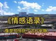《情感语录》，让心灵在此刻共鸣
