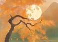 11句感人的爱情诗句，句句经典，深情款款