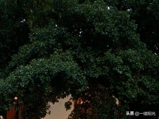 10条人间清醒经典语录，道尽人情世故，受用一生