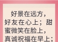 真心友情……