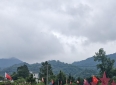 哲理散文：让它自己长