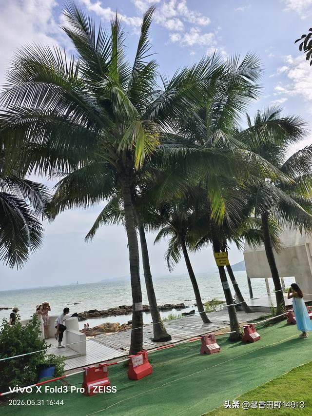 哲理散文：强弓易折
