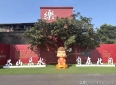 哲理散文：尘世微凉，时光可悟