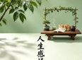 经典名著情感语录，发朋友圈高级又有质感