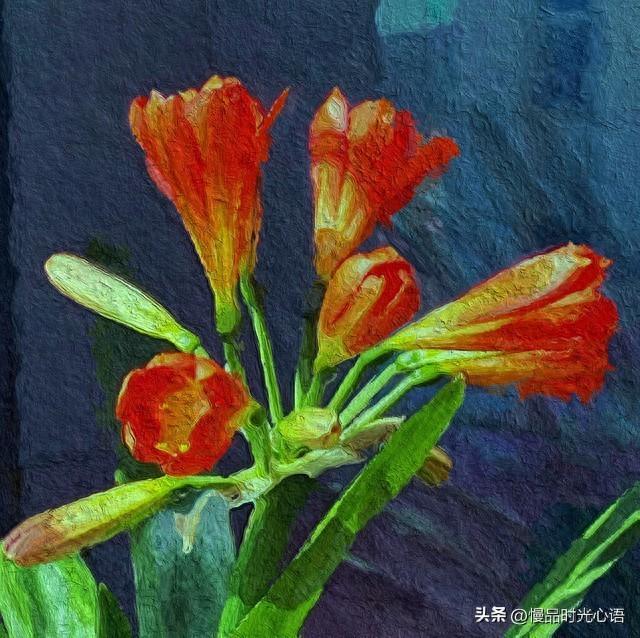 真正的友情：不做锦上添花的过客，只做雪中送炭的知己