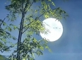 情感爆款文章：热情给错人，终成一场空欢喜