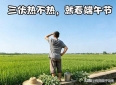 端午天气定三伏？2026年40天加长伏天，农谚靠谱吗