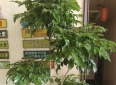 男女之间，真的存在干净纯粹的友谊吗？