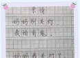 小学生日记只写了两句，老师红笔停住了，最后一句太戳心
