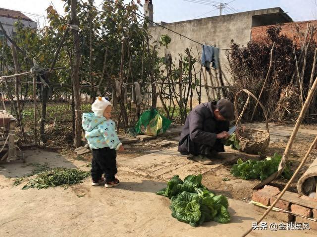 回村总跟父母吵架？别怪他们固执，是你忘了来时的路