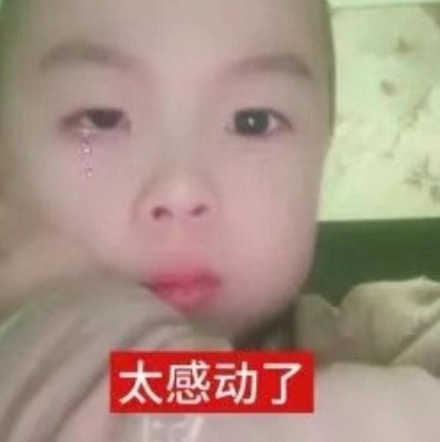 表情包：太感动了