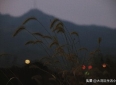 治愈向现代爱情故事