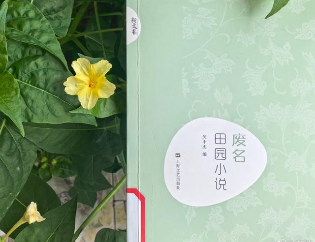 读书笔记（664）——《田园小说》《桥》（废名 著）