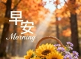 早安心语 在心里划一道线，把完整的自己带回家