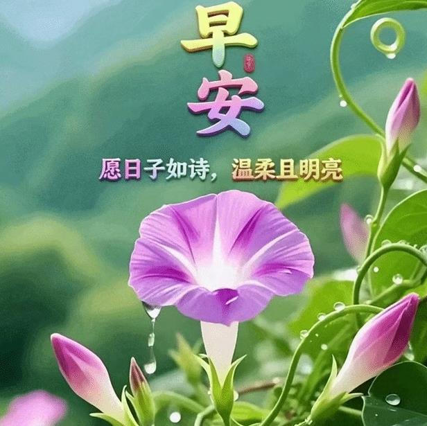 一份友情，长久惦念；一句早安，万般祝愿