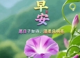 一份友情，长久惦念；一句早安，万般祝愿