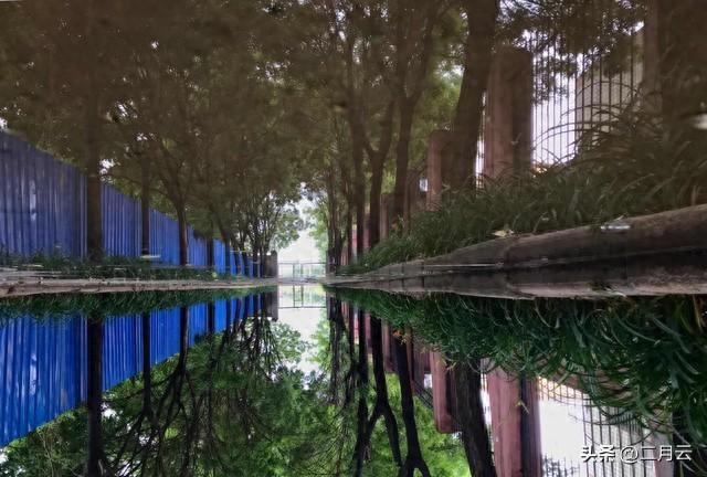 两性情感：多数男人一生都没尝过，女人拿他当孩子疼的滋味