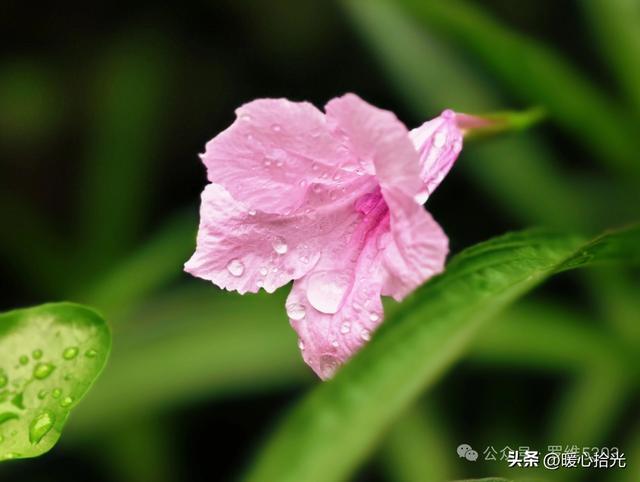 16句，人生感悟精辟句子，每一句都是痛的领悟