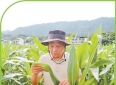 技术只有长在田里才算数——四位农技员的故事