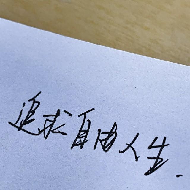 5 篇人生感悟短文・一句话精华